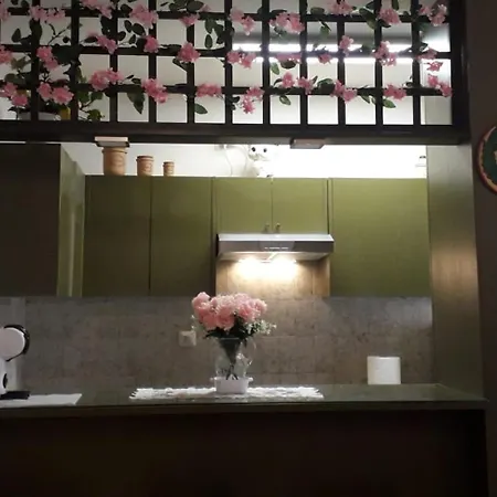 250 M Dalla Spiaggia! Libera O Attrezzata - La Casa Di Kate Apartament *